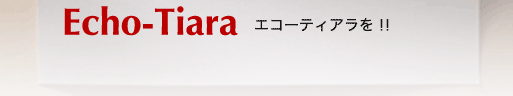 �������́A�ڎw���܂��I Echo-Tiara �G�R�[�e�B�A�����I�I